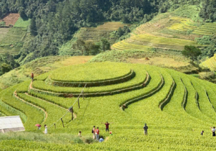 Avant de visiter le Vietnam, découvrez ce trésor caché : Mù Cang Chải
