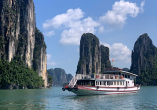 Les Coqs de Combat – Le Symbole Éternel de la Baie d’Ha Long