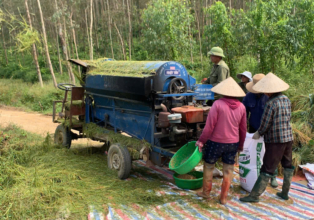 🌾 La beauté du battage du riz à Thác Bà – Un Vietnam authentique et vibrant