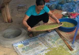 🌾 Le parfum du riz vert – L’art du cốm de Tú Lệ