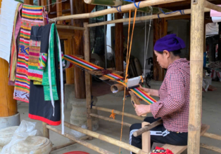 🌸 L’art du tissage des Thaï du Vietnam – Les fils d’une mémoire vivante